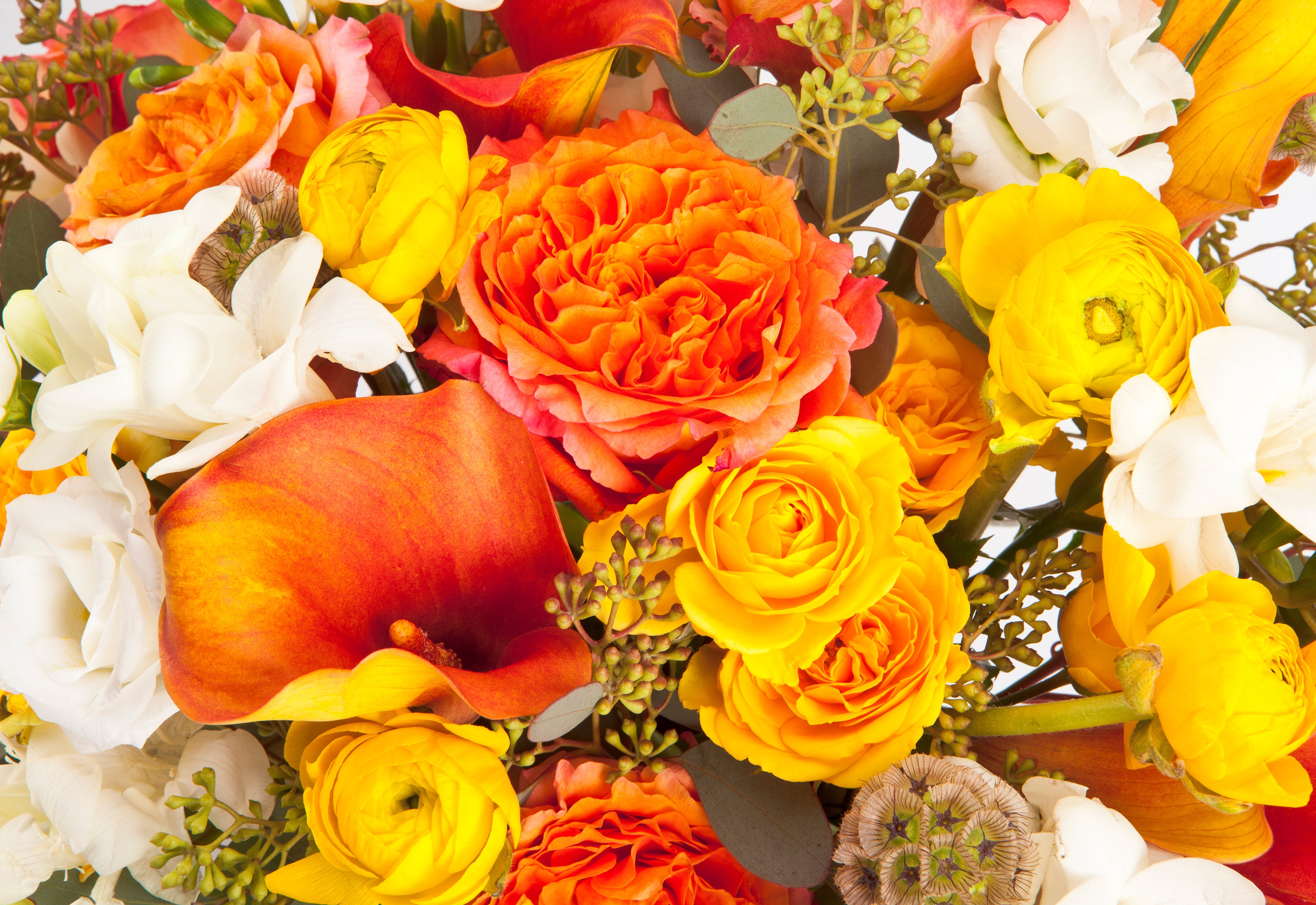 Fall Collection City Blossoms