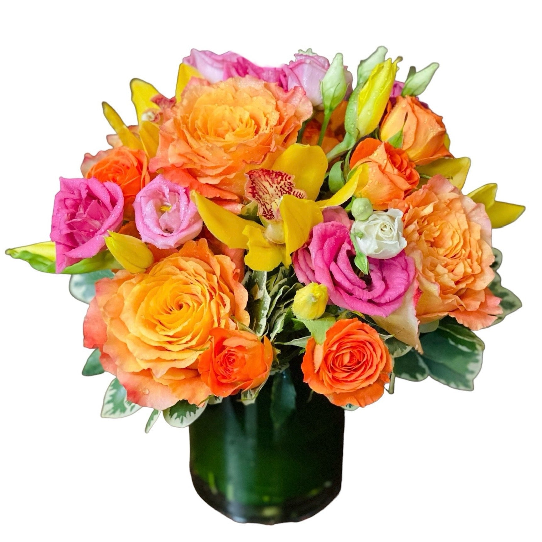 Sun-kissed – City Blossoms